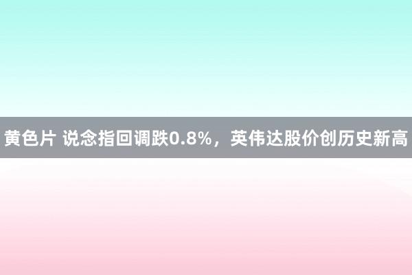 黄色片 说念指回调跌0.8%，英伟达股价创历史新高