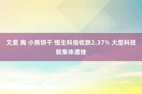 文爱 胸 小熊饼干 恒生科指收跌2.37% 大型科技股集体遭挫