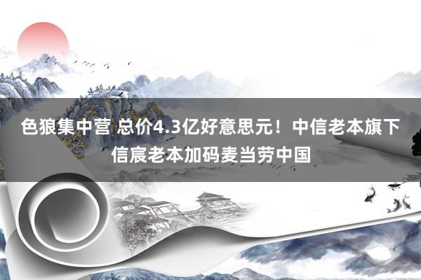 色狼集中营 总价4.3亿好意思元！中信老本旗下信宸老本加码麦当劳中国