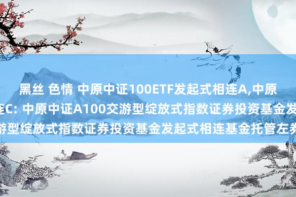 黑丝 色情 中原中证100ETF发起式相连A，中原中证100ETF发起式相连C: 中原中证A100交游型绽放式指数证券投资基金发起式相连基金托管左券