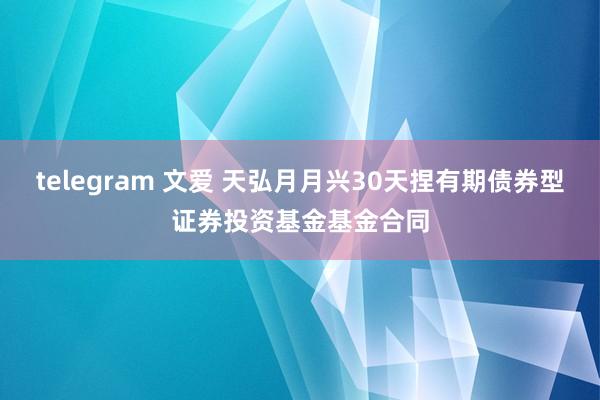 telegram 文爱 天弘月月兴30天捏有期债券型证券投资基金基金合同