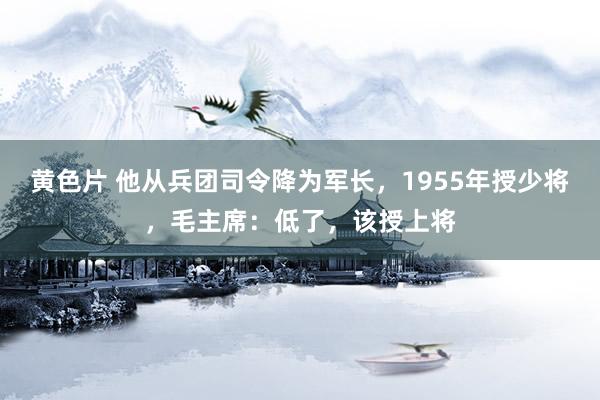 黄色片 他从兵团司令降为军长，1955年授少将，毛主席：低了，该授上将