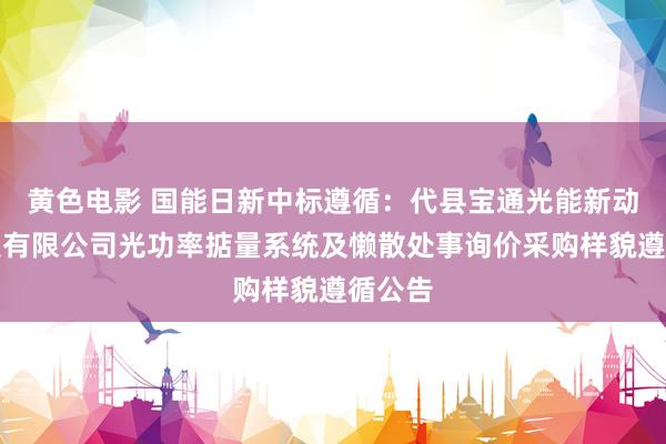 黄色电影 国能日新中标遵循：代县宝通光能新动力科技有限公司光功率掂量系统及懒散处事询价采购样貌遵循公告