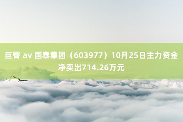 巨臀 av 国泰集团（603977）10月25日主力资金净卖出714.26万元