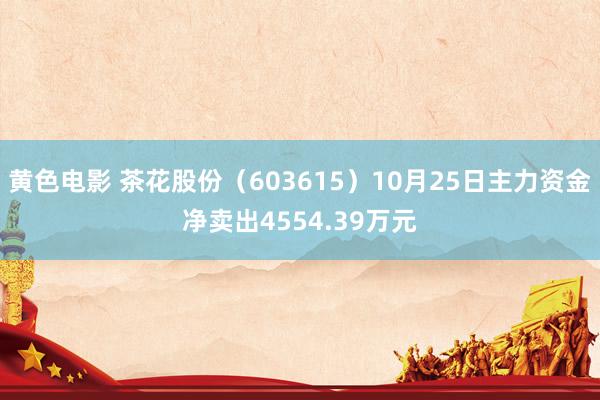 黄色电影 茶花股份（603615）10月25日主力资金净卖出4554.39万元