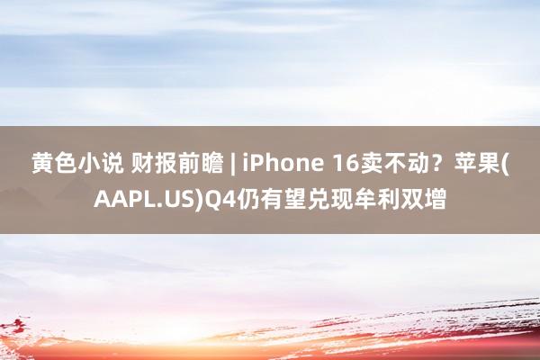 黄色小说 财报前瞻 | iPhone 16卖不动？苹果(AAPL.US)Q4仍有望兑现牟利双增