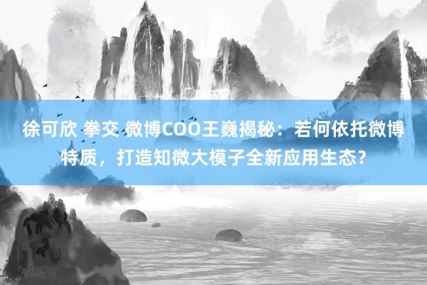 徐可欣 拳交 微博COO王巍揭秘：若何依托微博特质，打造知微大模子全新应用生态？