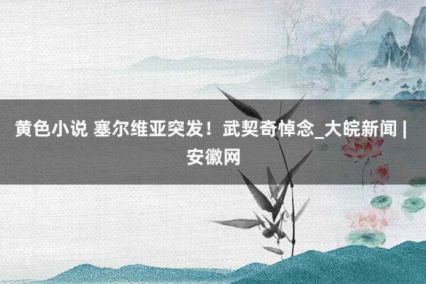 黄色小说 塞尔维亚突发！武契奇悼念_大皖新闻 | 安徽网