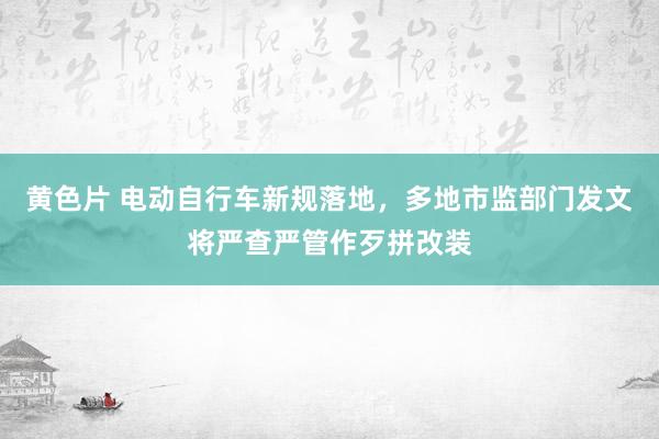 黄色片 电动自行车新规落地，多地市监部门发文将严查严管作歹拼改装