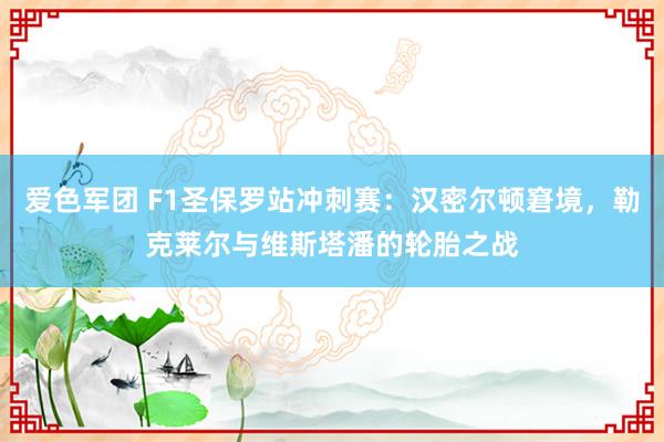 爱色军团 F1圣保罗站冲刺赛：汉密尔顿窘境，勒克莱尔与维斯塔潘的轮胎之战