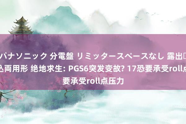 パナソニック 分電盤 リミッタースペースなし 露出・半埋込両用形 绝地求生: PGS6突发变故? 17恐要承受roll点压力