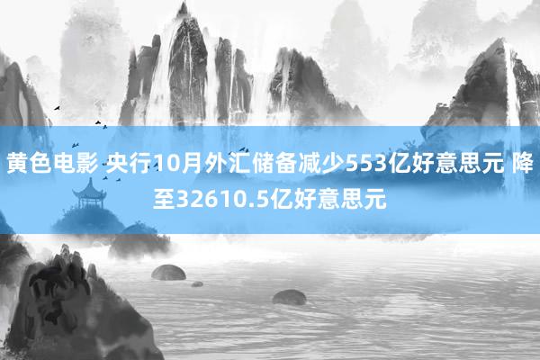 黄色电影 央行10月外汇储备减少553亿好意思元 降至32610.5亿好意思元