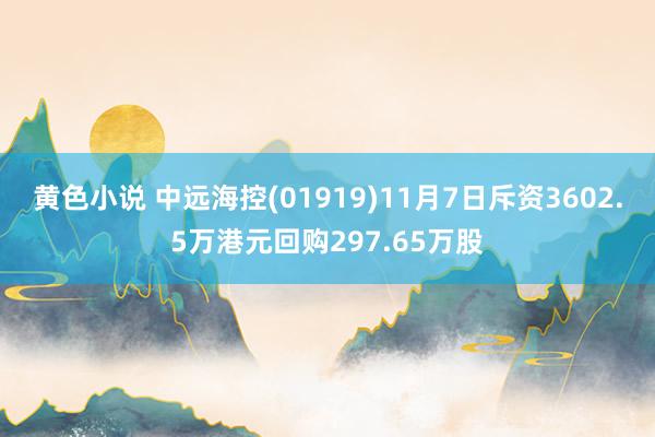 黄色小说 中远海控(01919)11月7日斥资3602.5万港元回购297.65万股