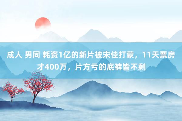 成人 男同 耗资1亿的新片被宋佳打蒙，11天票房才400万，片方亏的底裤皆不剩