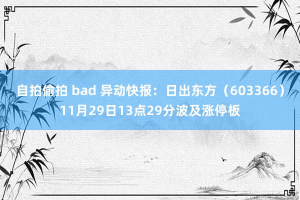 自拍偷拍 bad 异动快报：日出东方（603366）11月29日13点29分波及涨停板