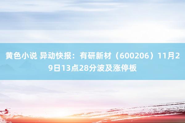 黄色小说 异动快报：有研新材（600206）11月29日13点28分波及涨停板