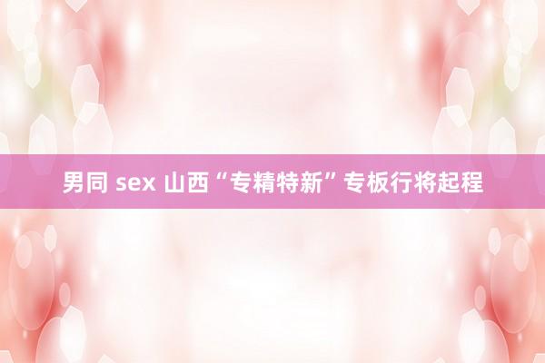 男同 sex 山西“专精特新”专板行将起程