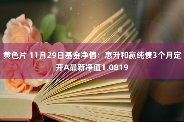 黄色片 11月29日基金净值：惠升和赢纯债3个月定开A最新净值1.0819