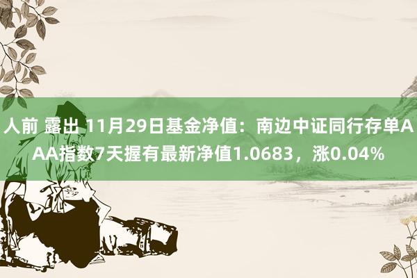 人前 露出 11月29日基金净值：南边中证同行存单AAA指数7天握有最新净值1.0683，涨0.04%