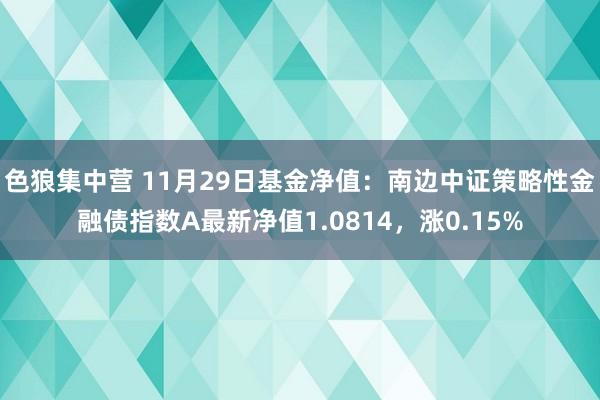 色狼集中营 11月29日基金净值：南边中证策略性金融债指数A最新净值1.0814，涨0.15%