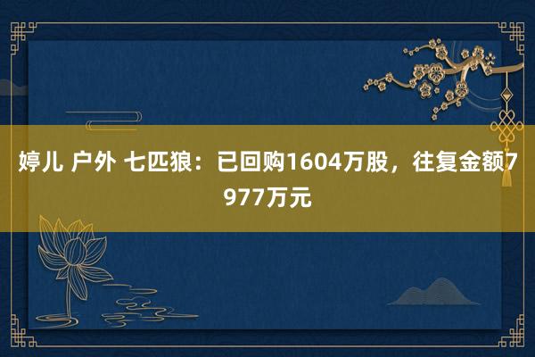 婷儿 户外 七匹狼：已回购1604万股，往复金额7977万元