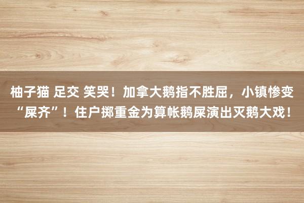 柚子猫 足交 笑哭！加拿大鹅指不胜屈，小镇惨变“屎齐”！住户掷重金为算帐鹅屎演出灭鹅大戏！