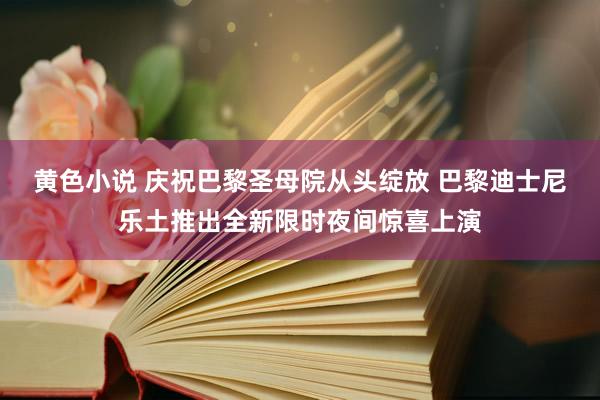 黄色小说 庆祝巴黎圣母院从头绽放 巴黎迪士尼乐土推出全新限时夜间惊喜上演