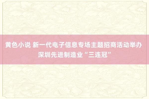 黄色小说 新一代电子信息专场主题招商活动举办 深圳先进制造业“三连冠”