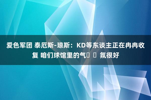 爱色军团 泰厄斯-琼斯：KD等东谈主正在冉冉收复 咱们球馆里的气​​氛很好