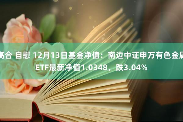 高合 自慰 12月13日基金净值：南边中证申万有色金属ETF最新净值1.0348，跌3.04%