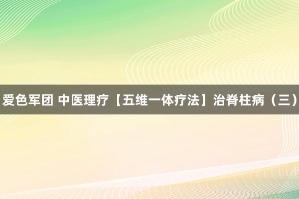 爱色军团 中医理疗【五维一体疗法】治脊柱病（三）