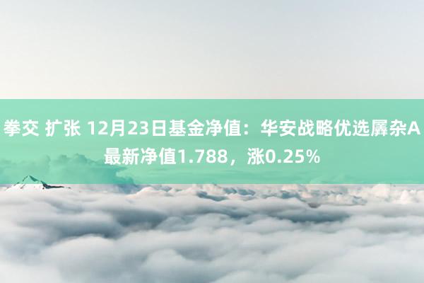 拳交 扩张 12月23日基金净值：华安战略优选羼杂A最新净值1.788，涨0.25%