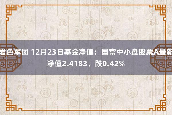 爱色军团 12月23日基金净值：国富中小盘股票A最新净值2.4183，跌0.42%