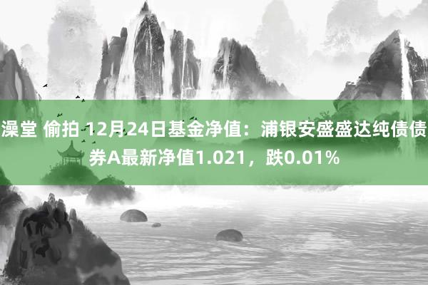 澡堂 偷拍 12月24日基金净值：浦银安盛盛达纯债债券A最新净值1.021，跌0.01%