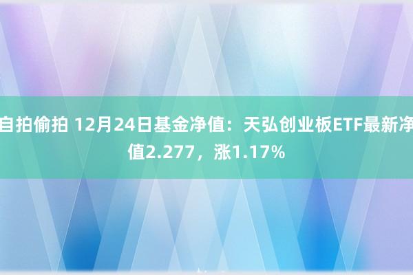 自拍偷拍 12月24日基金净值：天弘创业板ETF最新净值2.277，涨1.17%