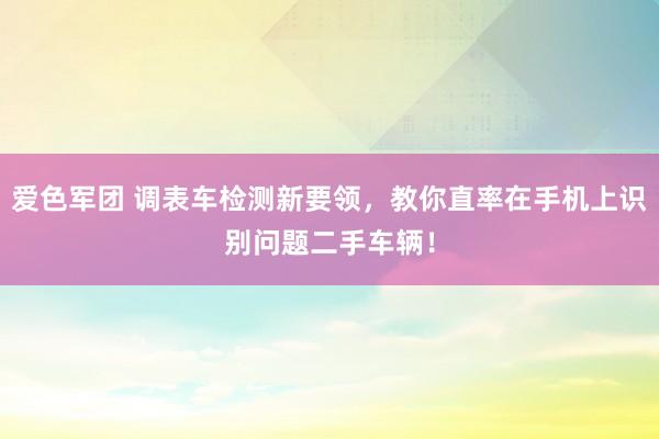 爱色军团 调表车检测新要领，教你直率在手机上识别问题二手车辆！