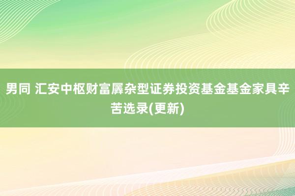 男同 汇安中枢财富羼杂型证券投资基金基金家具辛苦选录(更新)