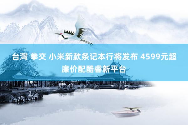 台灣 拳交 小米新款条记本行将发布 4599元超廉价配酷睿新平台