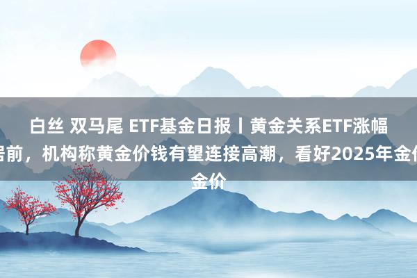 白丝 双马尾 ETF基金日报丨黄金关系ETF涨幅居前，机构称黄金价钱有望连接高潮，看好2025年金价