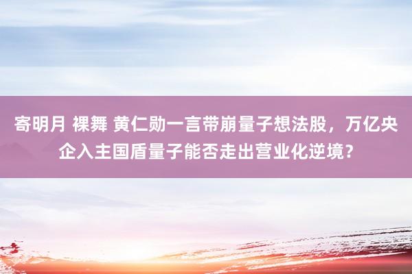 寄明月 裸舞 黄仁勋一言带崩量子想法股，万亿央企入主国盾量子能否走出营业化逆境？