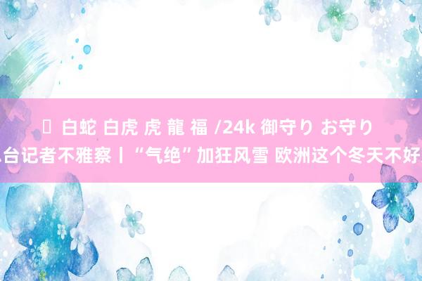 ✨白蛇 白虎 虎 龍 福 /24k 御守り お守り 总台记者不雅察丨“气绝”加狂风雪 欧洲这个冬天不好过