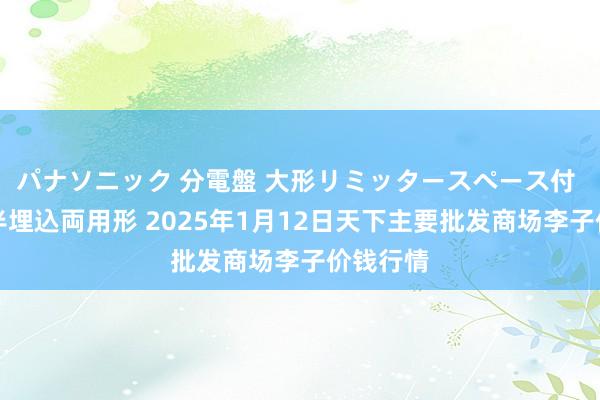 パナソニック 分電盤 大形リミッタースペース付 露出・半埋込両用形 2025年1月12日天下主要批发商场李子价钱行情