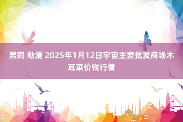 男同 動漫 2025年1月12日宇宙主要批发商场木耳菜价钱行情