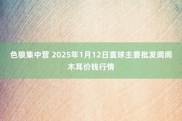 色狼集中营 2025年1月12日寰球主要批发阛阓木耳价钱行情