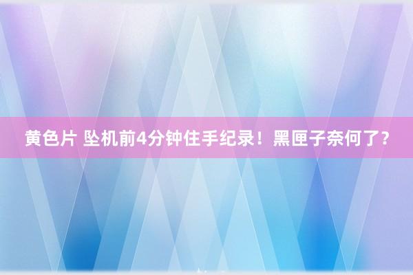 黄色片 坠机前4分钟住手纪录！黑匣子奈何了？