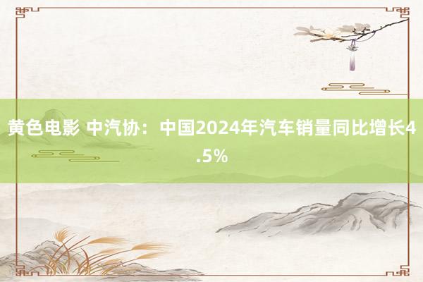 黄色电影 中汽协：中国2024年汽车销量同比增长4.5%