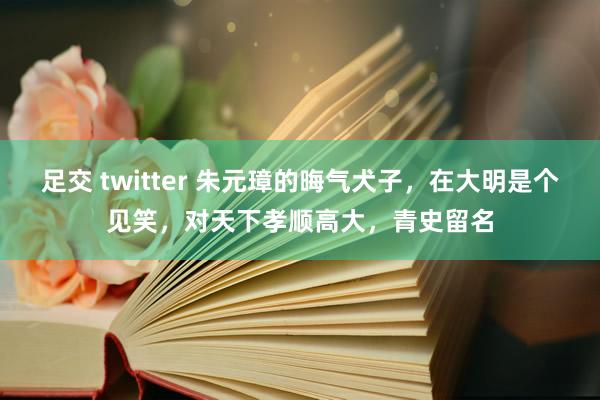 足交 twitter 朱元璋的晦气犬子，在大明是个见笑，对天下孝顺高大，青史留名