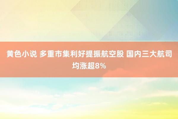 黄色小说 多重市集利好提振航空股 国内三大航司均涨超8%